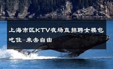 上海市区KTV夜场直招聘女模包吃住-来去自由 
