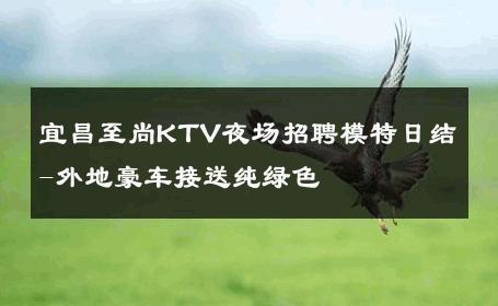 宜昌至尚KTV夜场招聘模特日结-外地豪车接送纯绿色 