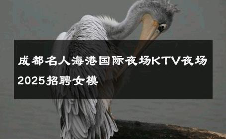 成都名人海港国际夜场KTV夜场2025招聘女模 