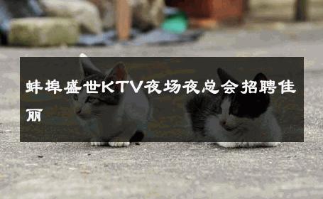 蚌埠盛世KTV夜场夜总会招聘佳丽 
