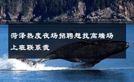 菏泽热度夜场招聘想找高端场上班联系我 