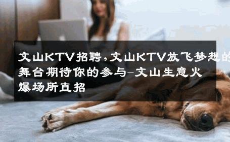 文山KTV招聘,文山KTV放飞梦想的舞台期待你的参与-文山生意火爆场所直招