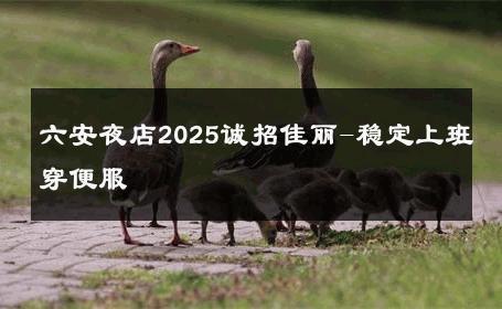 六安夜店2025诚招佳丽-稳定上班穿便服 