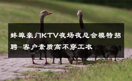 蚌埠豪门KTV夜场夜总会模特招聘-客户素质高不穿工衣 