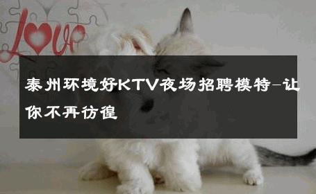 泰州环境好KTV夜场招聘模特-让你不再彷徨 