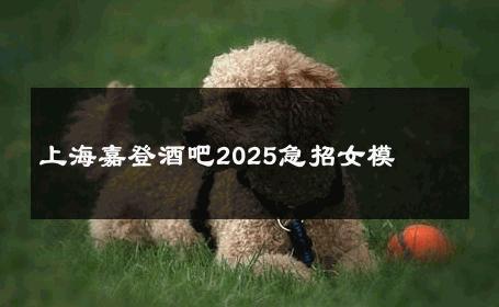 上海嘉登酒吧2025急招女模 