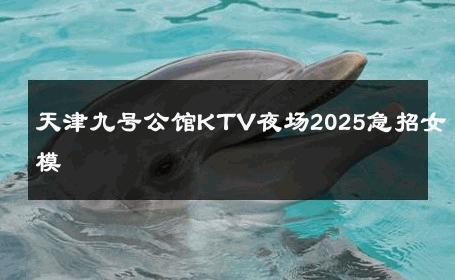 天津九号公馆KTV夜场2025急招女模 
