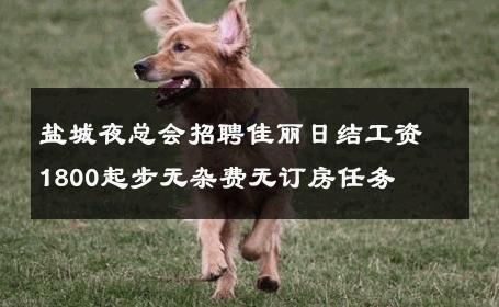 盐城夜总会招聘佳丽日结工资1800起步无杂费无订房任务 