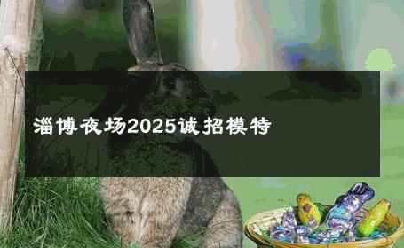 淄博夜场2025诚招模特 