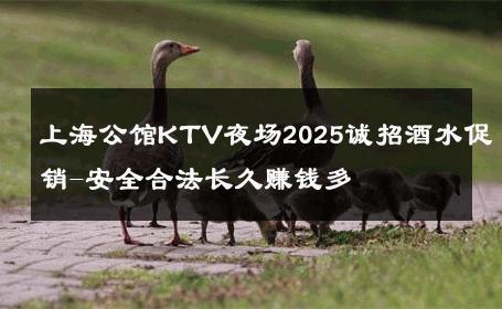 上海公馆KTV夜场2025诚招酒水促销-安全合法长久赚钱多 
