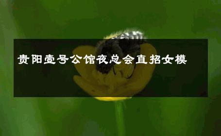 贵阳壹号公馆夜总会直招女模 