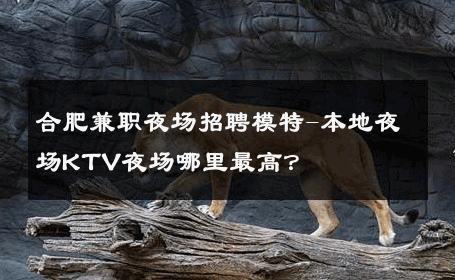 合肥兼职夜场招聘模特-本地夜场KTV夜场哪里最高？ 