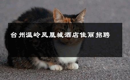 台州温岭凤凰城酒店佳丽招聘 