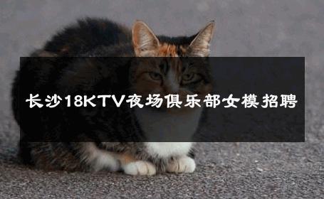 长沙18KTV夜场俱乐部女模招聘 