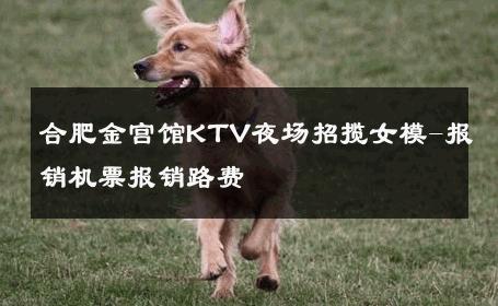 合肥金宫馆KTV夜场招揽女模-报销机票报销路费 