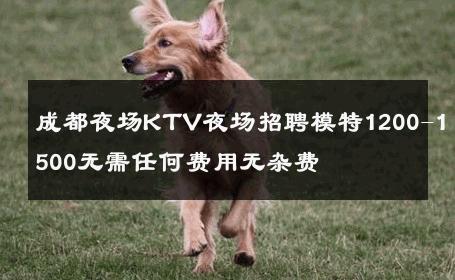 成都夜场KTV夜场招聘模特1200-1500无需任何费用无杂费 