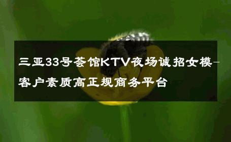 三亚33号荟馆KTV夜场诚招女模-客户素质高正规商务平台 