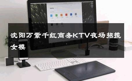 沈阳万紫千红商务KTV夜场招揽女模 