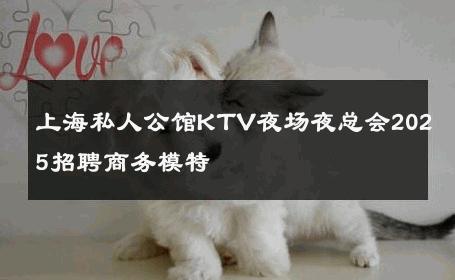 上海私人公馆KTV夜场夜总会2025招聘商务模特 