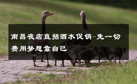 南昌夜店直招酒水促销-免一切费用梦想靠自己 