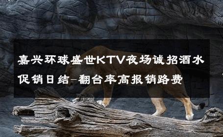 嘉兴环球盛世KTV夜场诚招酒水促销日结-翻台率高报销路费 