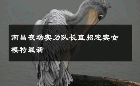 南昌夜场实力队长直招迎宾女模特最新 