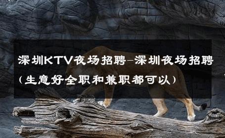 深圳KTV夜场招聘-深圳夜场招聘(生意好全职和兼职都可以) 