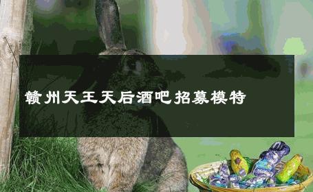 赣州天王天后酒吧招募模特 