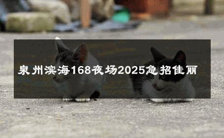 泉州滨海168夜场2025急招佳丽 
