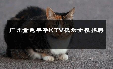 广州金色年华KTV夜场女模招聘 