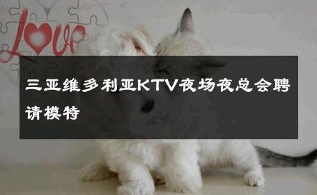 三亚维多利亚KTV夜场夜总会聘请模特 
