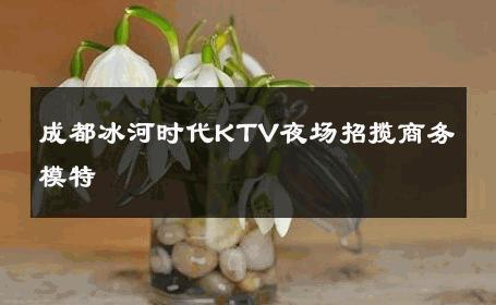 成都冰河时代KTV夜场招揽商务模特 