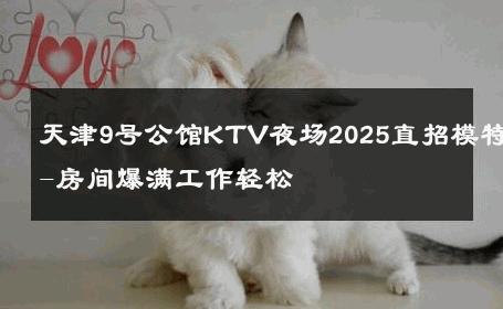 天津9号公馆KTV夜场2025直招模特-房间爆满工作轻松 