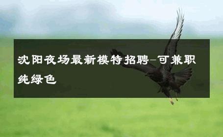 沈阳夜场最新模特招聘-可兼职纯绿色 