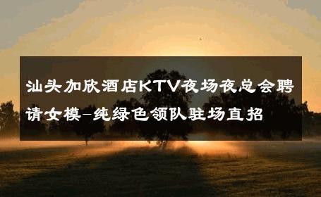 汕头加欣酒店KTV夜场夜总会聘请女模-纯绿色领队驻场直招 