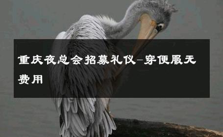 重庆夜总会招募礼仪-穿便服无费用 