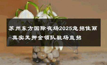 苏州东方国际夜场2025急招佳丽-真实无押金领队驻场直招 