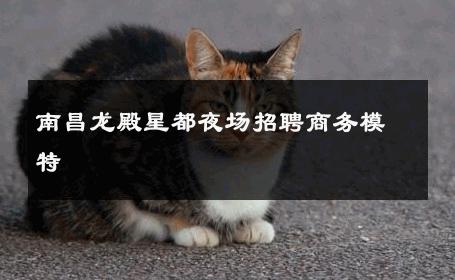 南昌龙殿星都夜场招聘商务模特 