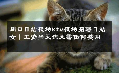 周口日结夜场ktv夜场招聘日结女丨工资当天结无需任何费用 