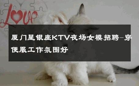 厦门星银座KTV夜场女模招聘-穿便服工作氛围好 