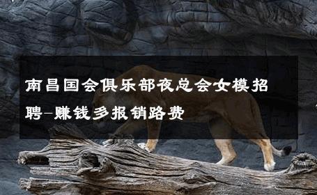 南昌国会俱乐部夜总会女模招聘-赚钱多报销路费 