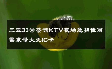三亚33号荟馆KTV夜场急招佳丽-需求量大无IC卡 