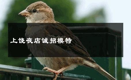 上饶夜店诚招模特 