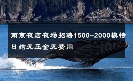 南京夜店夜场招聘1500-2000模特日结无压金无费用 