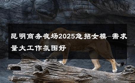 昆明商务夜场2025急招女模-需求量大工作氛围好 