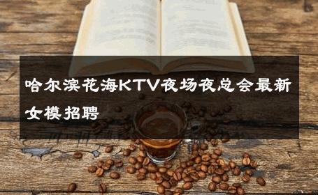 哈尔滨花海KTV夜场夜总会最新女模招聘 