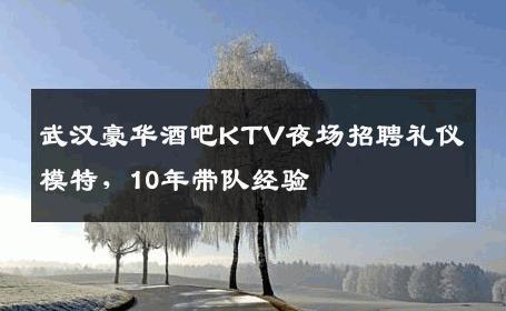 武汉豪华酒吧KTV夜场招聘礼仪模特，10年带队经验 