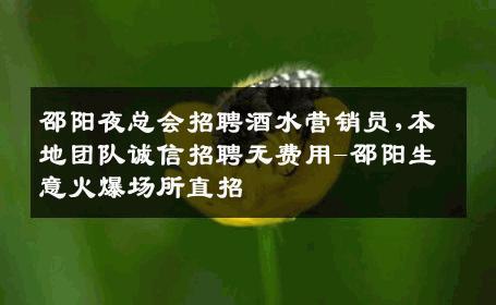 邵阳夜总会招聘酒水营销员,本地团队诚信招聘无费用-邵阳生意火爆场所直招