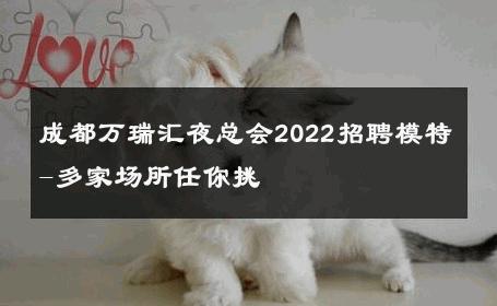 成都万瑞汇夜总会2022招聘模特-多家场所任你挑 