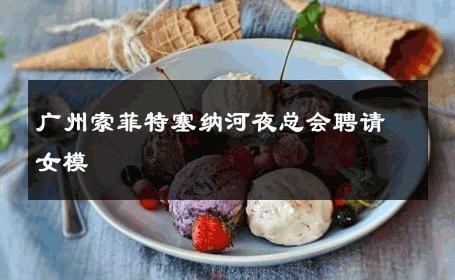 广州索菲特塞纳河夜总会聘请女模 
